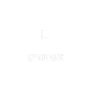 Synergie – Un parcours d’intégration gamifié