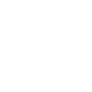 LEGO – Digital Team Building